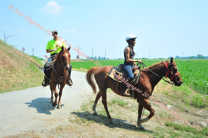 DSC_1075.JPG